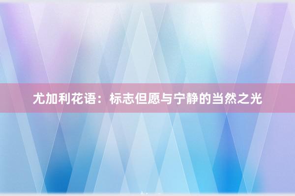 尤加利花语：标志但愿与宁静的当然之光